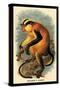 Erxleben's Guenon-G.r. Waterhouse-Stretched Canvas