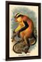 Erxleben's Guenon-G.r. Waterhouse-Framed Art Print