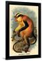 Erxleben's Guenon-G.r. Waterhouse-Framed Art Print