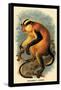 Erxleben's Guenon-G.r. Waterhouse-Framed Stretched Canvas