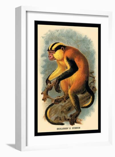 Erxleben's Guenon-G.r. Waterhouse-Framed Art Print