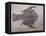 Eryon Arctiformis Crab Fossil-Naturfoto Honal-Framed Stretched Canvas