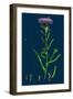 Erysimum Cheiranthoides; Treacle Hedge-Mustard-null-Framed Giclee Print