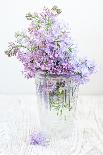 Bouquet of a Lilac-Es75-Laminated Photographic Print