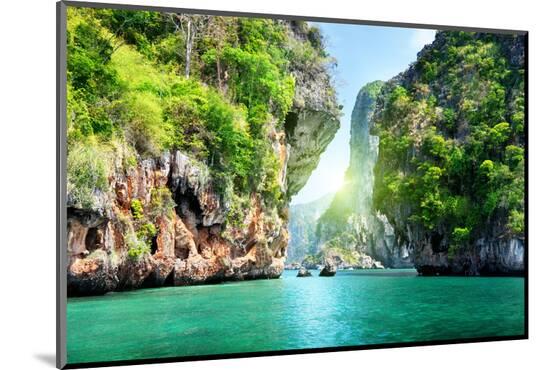 Photographic Print, , large