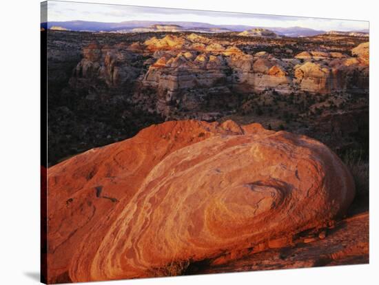 Escalante Canyon Rim, Grand Staircase-Escalante National Monument, Utah, USA-Charles Gurche-Stretched Canvas