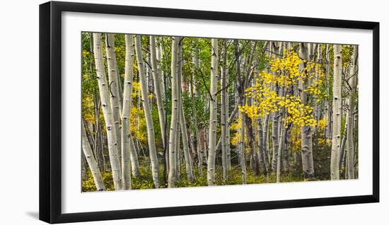 Escalante Canyons.-John Ford-Framed Photographic Print