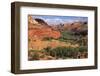 Escalante River overlook, Grand Staircase-Escalante National Monument, Utah-Zandria Muench Beraldo-Framed Photographic Print