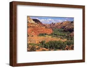 Escalante River overlook, Grand Staircase-Escalante National Monument, Utah-Zandria Muench Beraldo-Framed Photographic Print