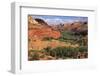 Escalante River overlook, Grand Staircase-Escalante National Monument, Utah-Zandria Muench Beraldo-Framed Photographic Print