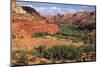 Escalante River overlook, Grand Staircase-Escalante National Monument, Utah-Zandria Muench Beraldo-Mounted Photographic Print