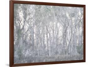 Escalante Trees-Chris Dunker-Framed Giclee Print