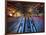 Escalators at the Entrance to a Washington DC Metro Station.-Jon Hicks-Framed Photographic Print