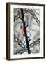 Escalier D'Amour-Pierre Henri Matisse-Framed Premium Giclee Print