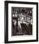 Escalier, Montmartre, c.1950-Rene Jacques-Framed Art Print