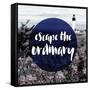 Escape the Ordinary-null-Framed Stretched Canvas
