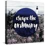 Escape the Ordinary-null-Stretched Canvas