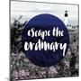 Escape the Ordinary-null-Mounted Giclee Print