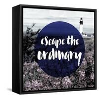 Escape the Ordinary-null-Framed Stretched Canvas