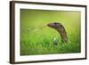 Escape-Shikhei Goh-Framed Photographic Print