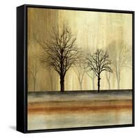 Escape-Andrew Michaels-Framed Stretched Canvas