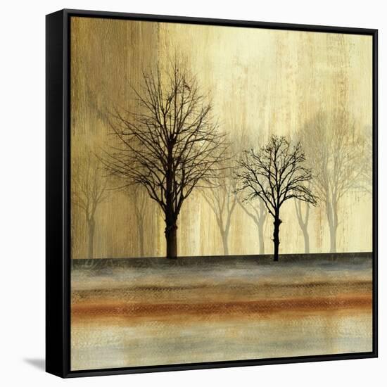 Escape-Andrew Michaels-Framed Stretched Canvas