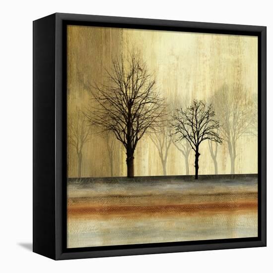 Escape-Andrew Michaels-Framed Stretched Canvas