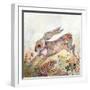 Escape-Wyanne-Framed Giclee Print