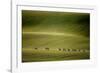 Escape-Marcin Sobas-Framed Photographic Print