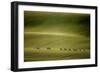 Escape-Marcin Sobas-Framed Photographic Print