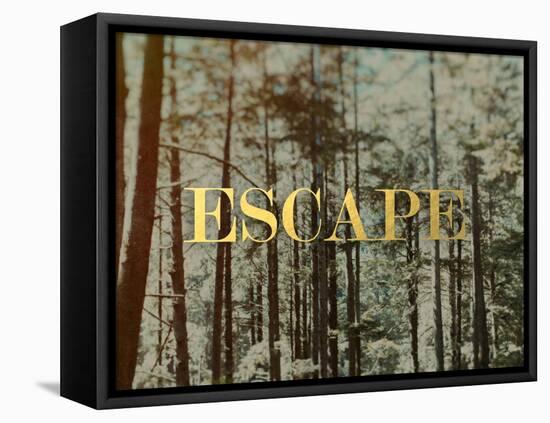Escape-Leah Flores-Framed Stretched Canvas