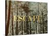 Escape-Leah Flores-Stretched Canvas