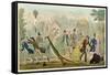 Escaped Kangaroo-Robert Cruikshank-Framed Stretched Canvas