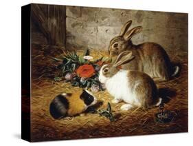 Escaped: Two Rabbits and Guinea Pig-Alfred R. Barber-Stretched Canvas