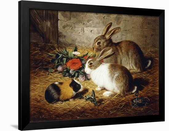 Escaped: Two Rabbits and Guinea Pig-Alfred R. Barber-Framed Giclee Print