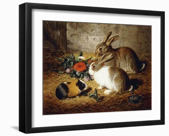 Escaped: Two Rabbits and Guinea Pig-Alfred R. Barber-Framed Giclee Print