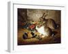 Escaped: Two Rabbits and Guinea Pig-Alfred R. Barber-Framed Giclee Print