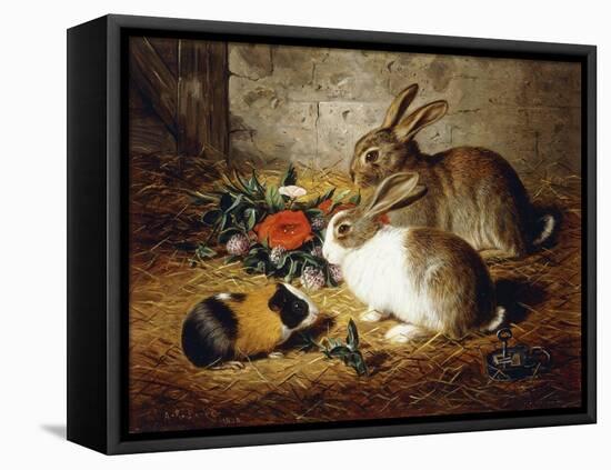 Escaped: Two Rabbits and Guinea Pig-Alfred R. Barber-Framed Stretched Canvas