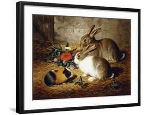 Escaped: Two Rabbits and Guinea Pig-Alfred R. Barber-Framed Giclee Print