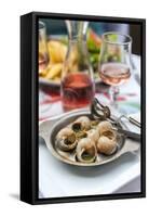 Escargot and Rose wine, Dijon, Burgundy, France-Jim Engelbrecht-Framed Stretched Canvas