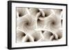 Escher-Like Spiral Stairs-null-Framed Art Print