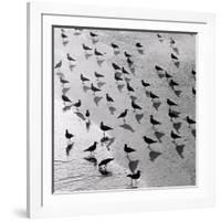 Escher's Seagulls-Michael Kahn-Framed Giclee Print