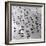 Escher's Seagulls-Michael Kahn-Framed Giclee Print