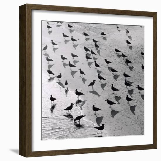 Escher's Seagulls-Michael Kahn-Framed Giclee Print