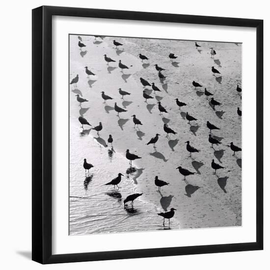 Escher's Seagulls-Michael Kahn-Framed Giclee Print