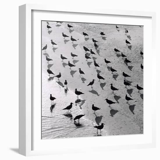 Escher's Seagulls-Michael Kahn-Framed Giclee Print