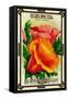 Eschscholtzia Seed Packet-Lantern Press-Framed Stretched Canvas