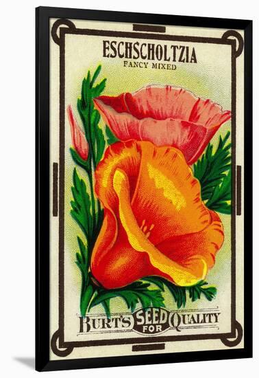 Eschscholtzia Seed Packet-Lantern Press-Framed Art Print