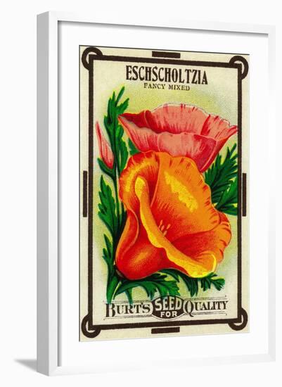 Eschscholtzia Seed Packet-Lantern Press-Framed Art Print