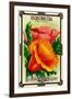 Eschscholtzia Seed Packet-Lantern Press-Framed Art Print